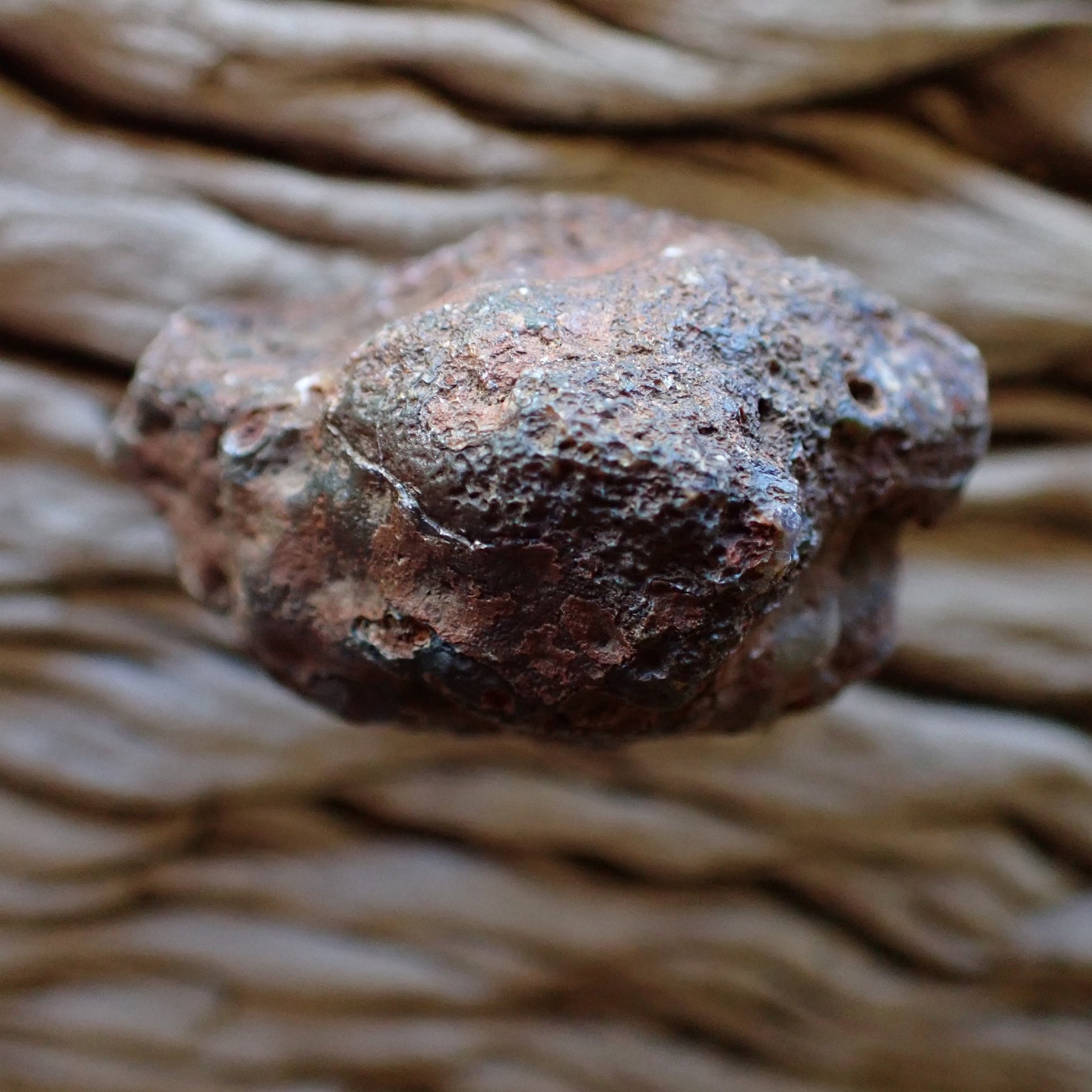 Unpolished reverse side of Malawi agate nodule from Ngabu showing natural weathered druzy rind — SKU 000472