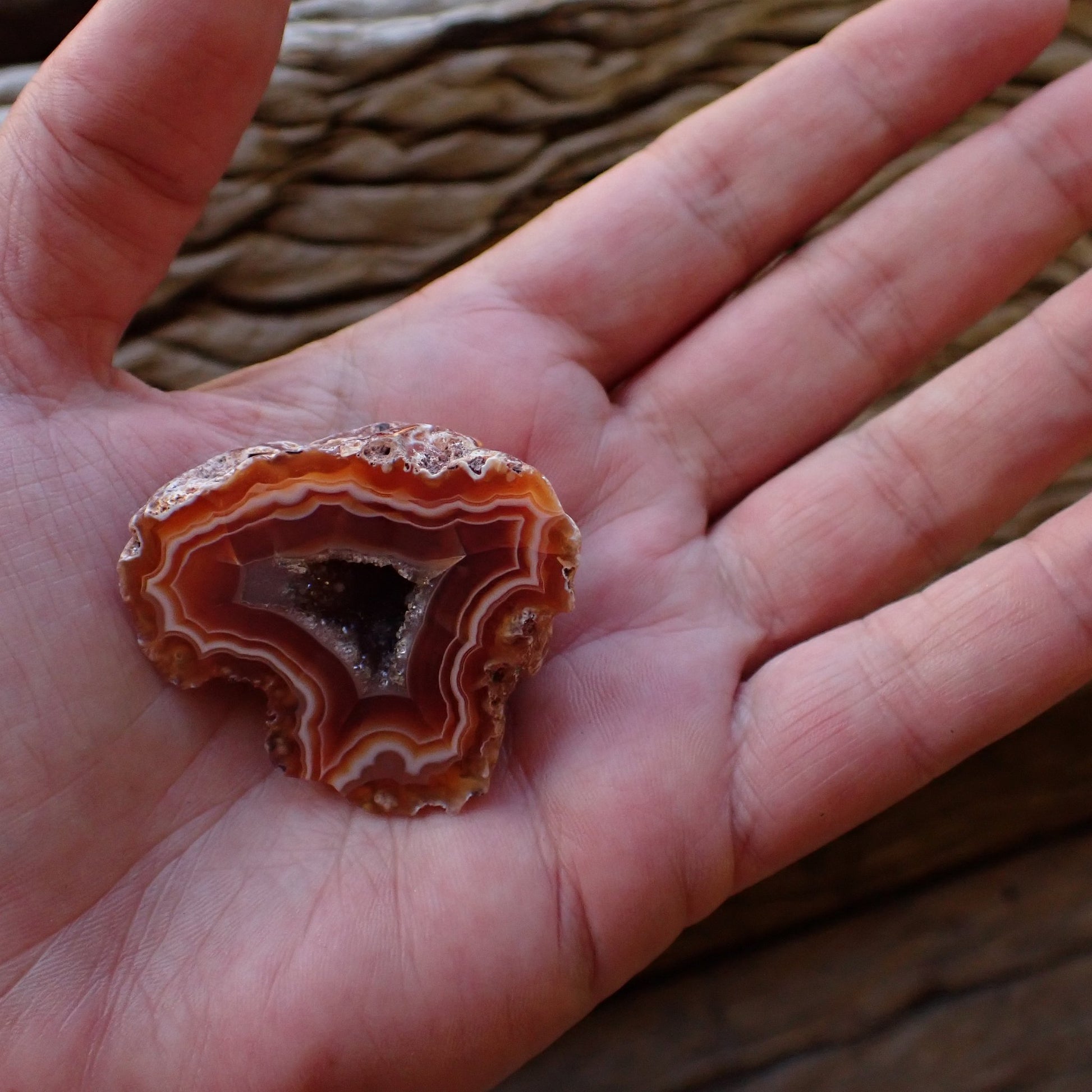 Malawi agate 44 mm in hand – size reference, 35 g collector specimen, Ngabu, Malawi | SKU 000477