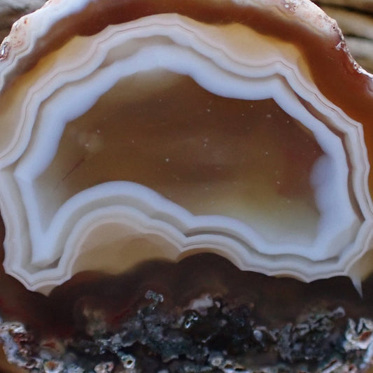 Close-up of Malawi agate 46 mm – scalloped fortification banding and ghost banding detail, amber-brown colour zoning | SKU 000479