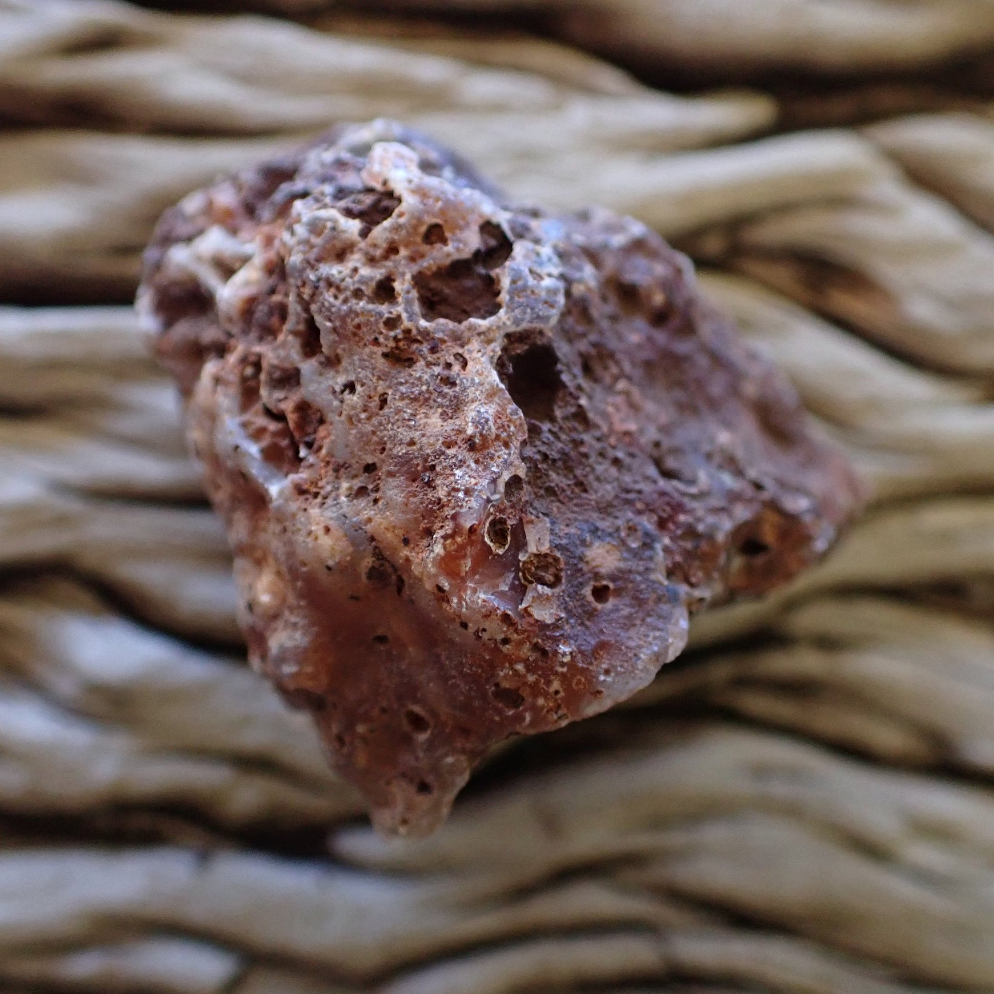 Back of Malawi agate 44 mm – heavily vesicular basalt exterior, Ngabu deposit, hand-polished in South Africa | SKU 000481