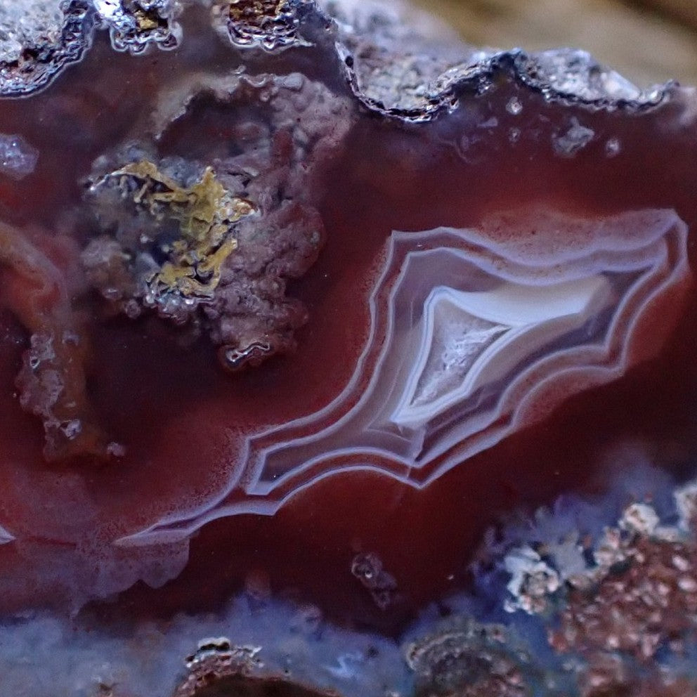 Close-up of Malawi agate 40 mm face – scalloped band edges with angular point, ghost banding and fortification banding detail, Ngabu, Malawi | SKU 000484