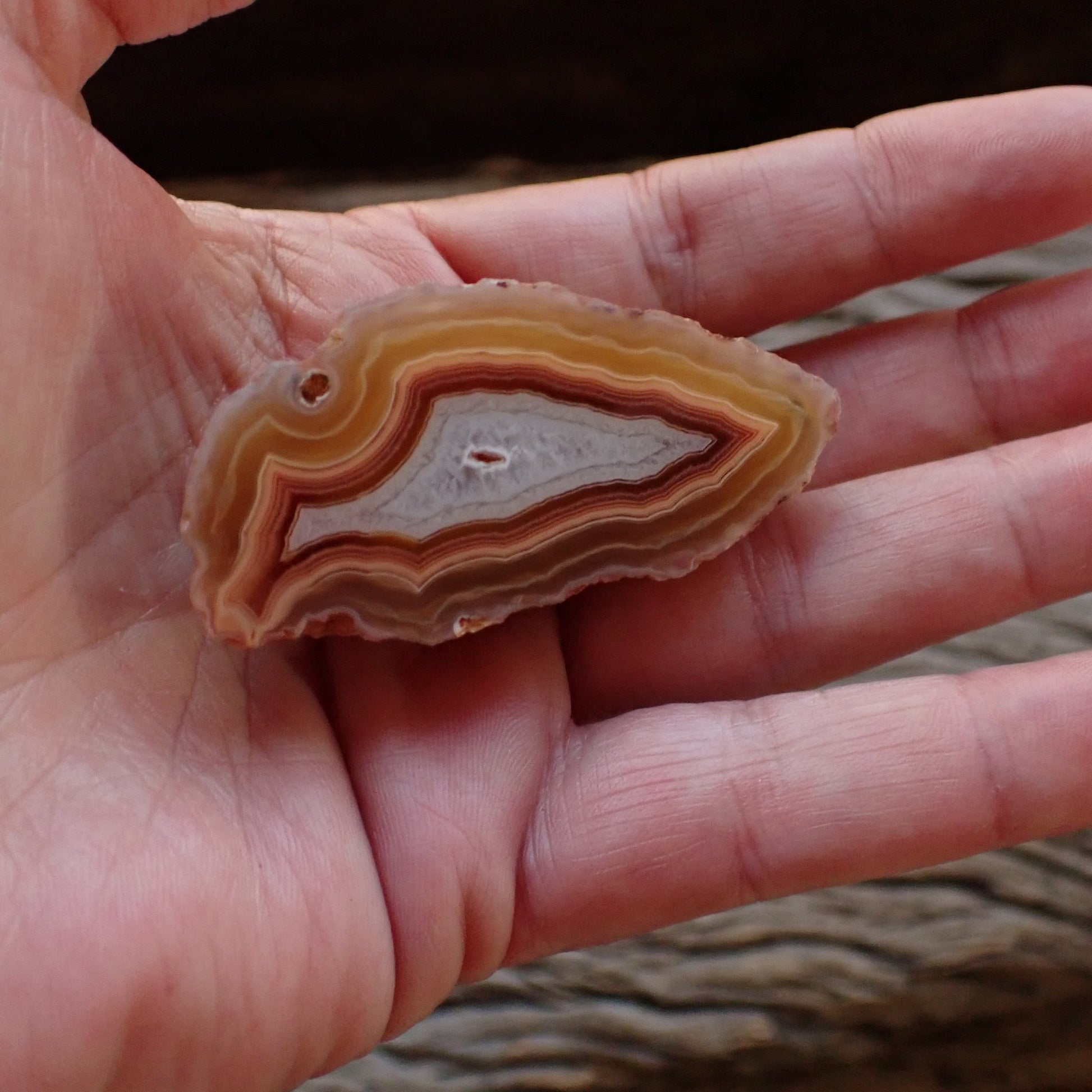Arrowhead Malawi agate 56 mm – size reference, arrowhead form, scalloped banding, Ngabu Malawi, hand-polished in South Africa | SKU 000490
