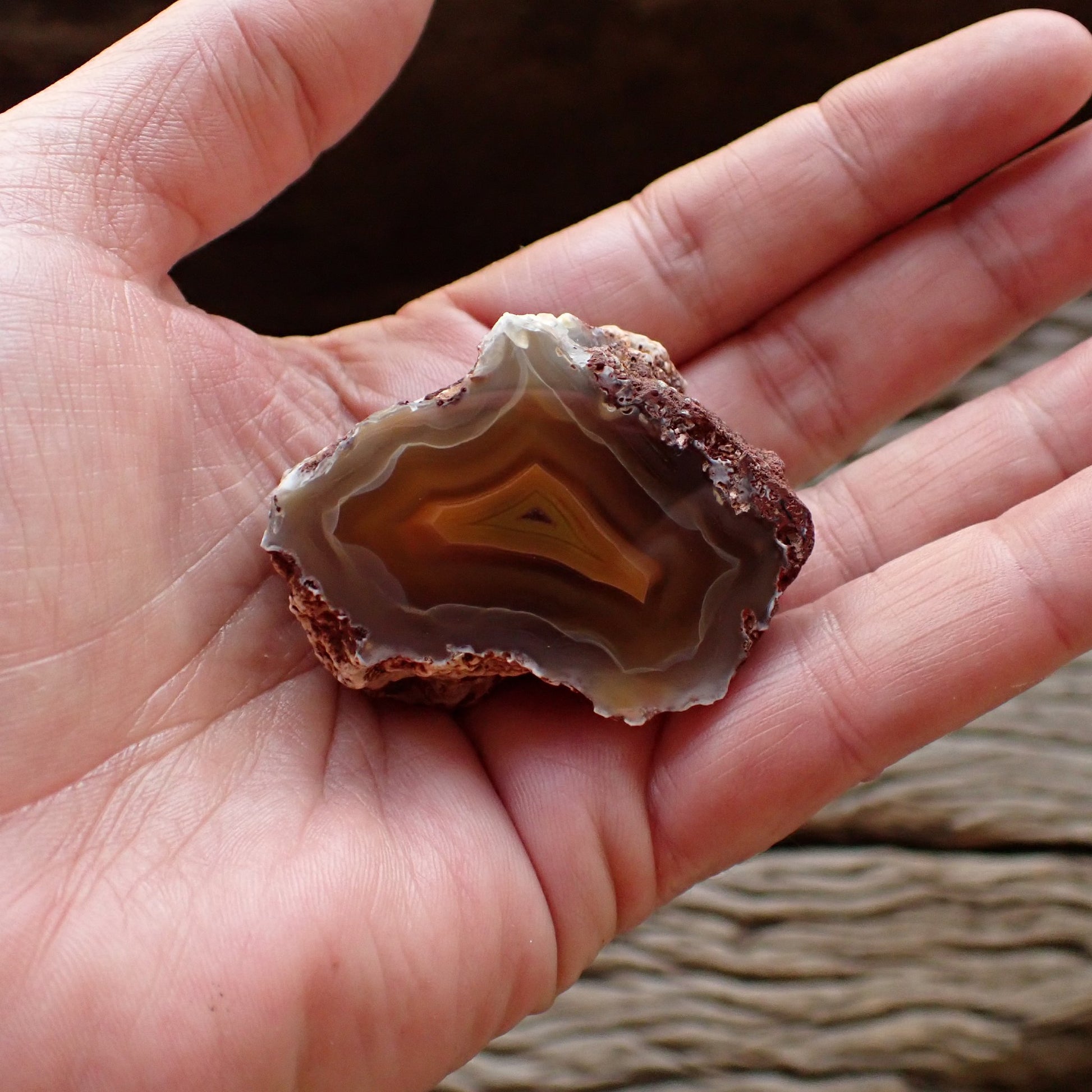 Natural hand-polished Malawi agate 48 mm – in-hand size reference, scalloped banding, ghost banding | SKU 000497