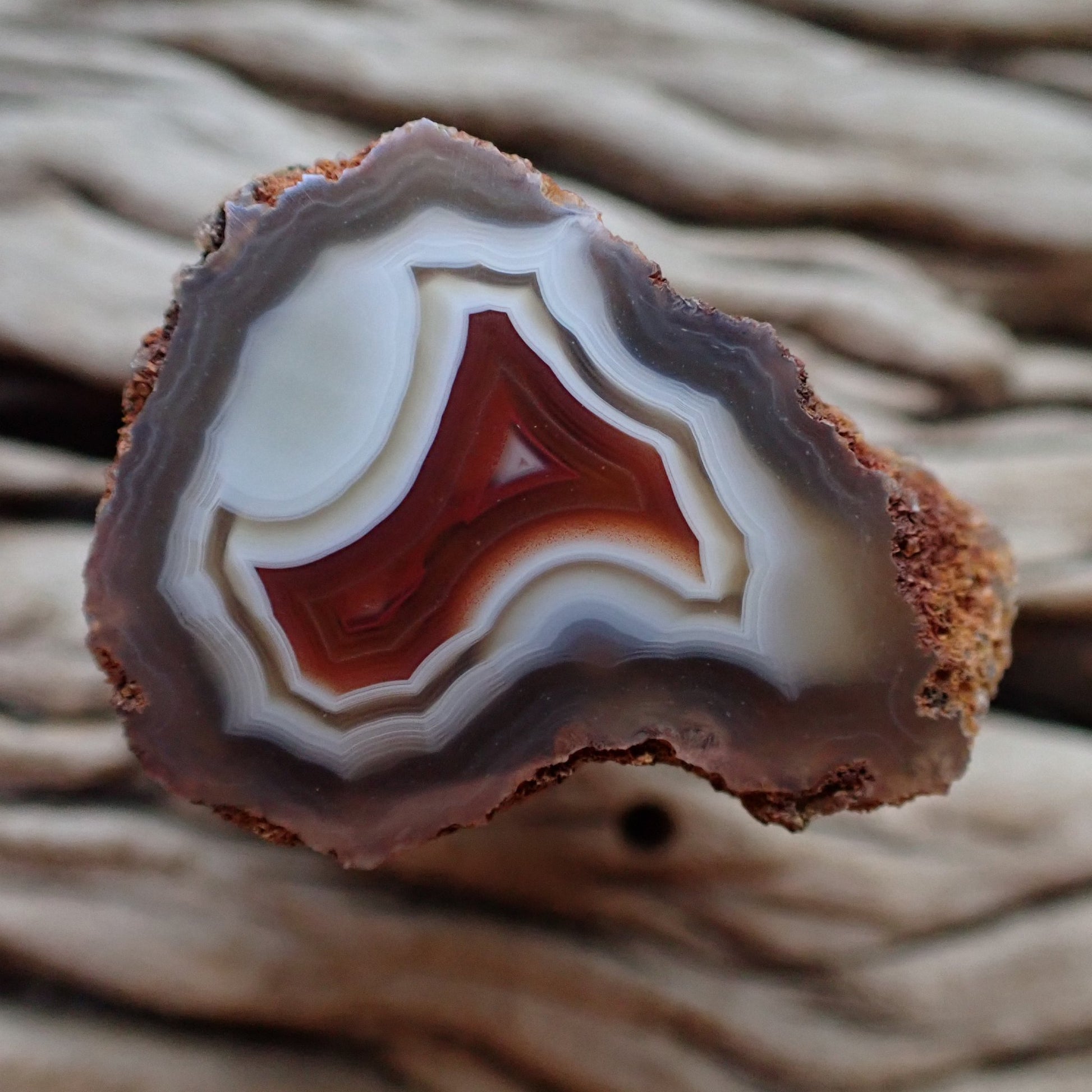 Natural hand-polished Malawi agate 34 mm – full face, inverse colour centre, scalloped banding, ghost banding | SKU 000498
