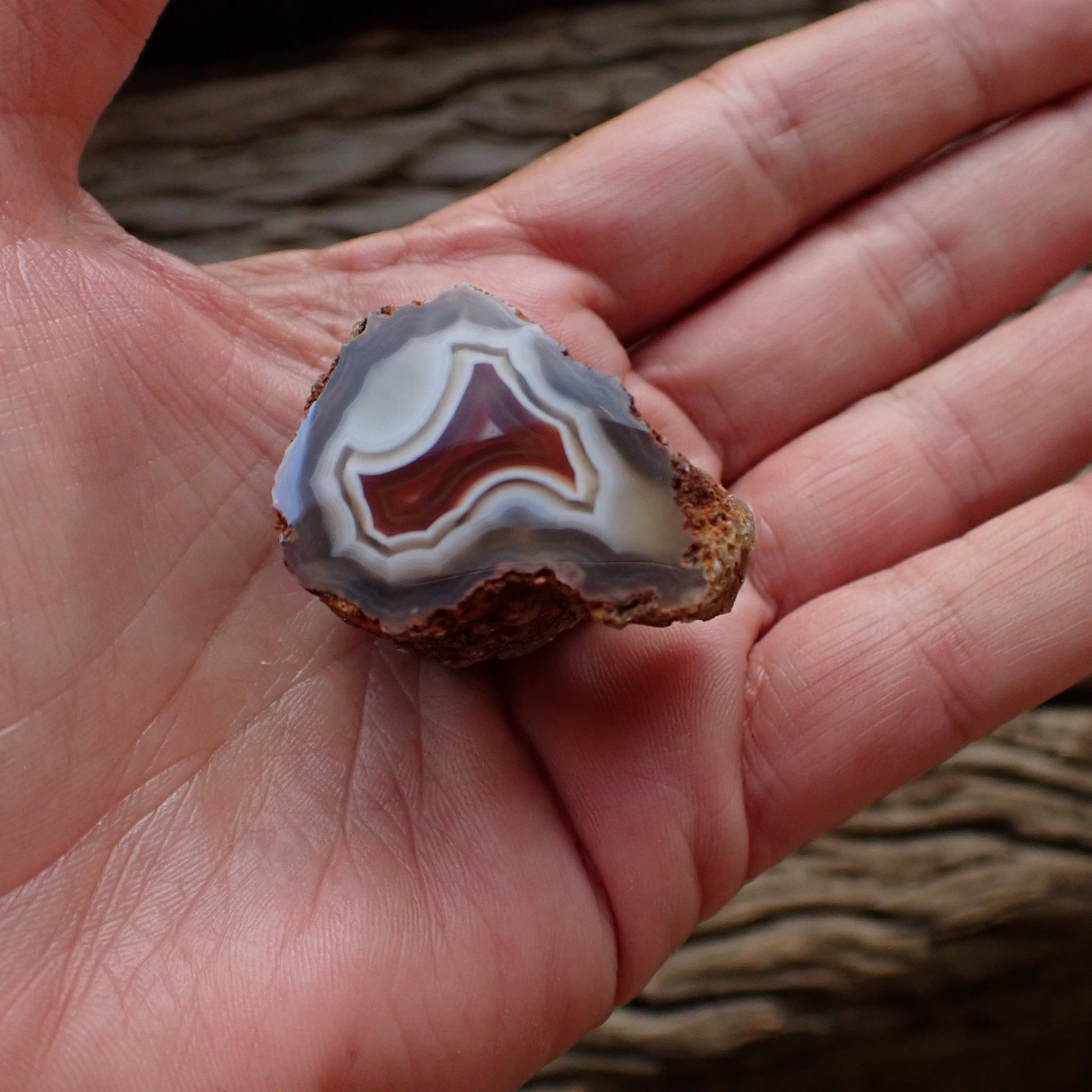 Natural hand-polished Malawi agate 34 mm – in-hand size reference, scalloped banding, ghost banding | SKU 000498