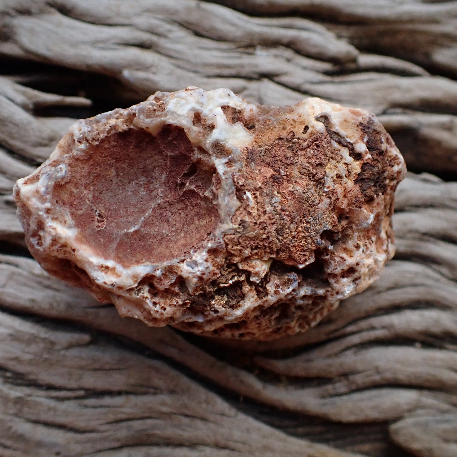 Natural hand-polished Malawi agate 52 mm – unpolished rind, natural cortex | SKU 000499