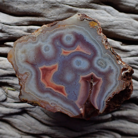 Polished large Malawi agate from Ngabu region with unusual pastel type colours in purple, grey and orange, feautures four eyes and a flow channel