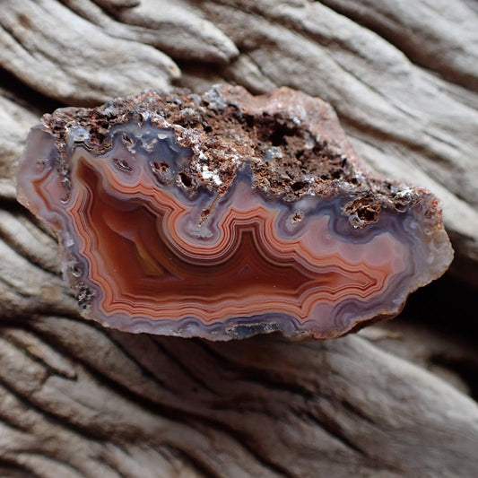 Polished Malawi agate from the Ngabu region with stunning fortification banding in purple, salmon and red