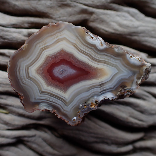 Polished Malawi candy agate from the Ngabu region with parallax and absolutely gorgeous banding in pastel hues of cream and brown going into a floater of peach and red with another drusy centre
