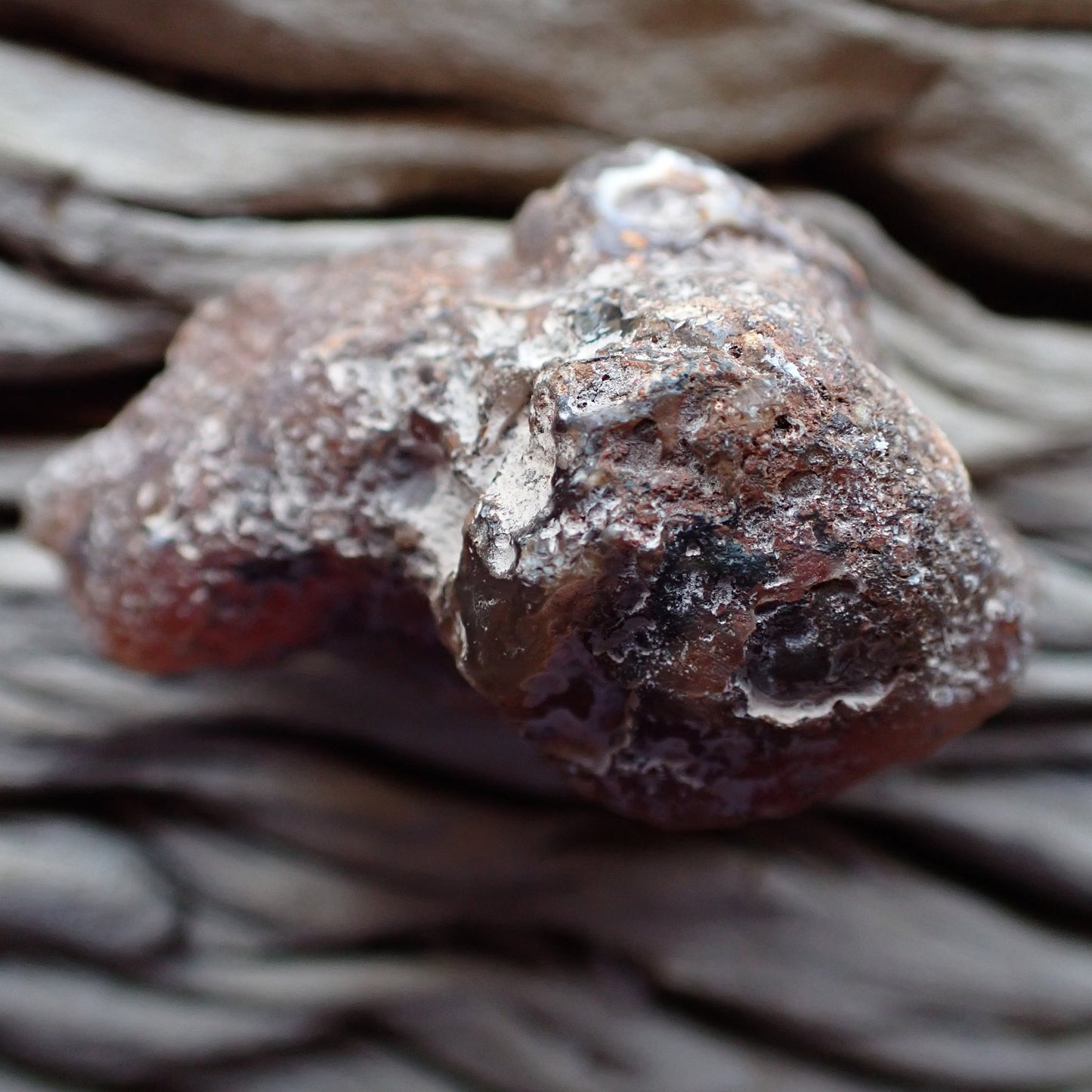 unpolished side of a Malawi agate nodule from the Ngabu region