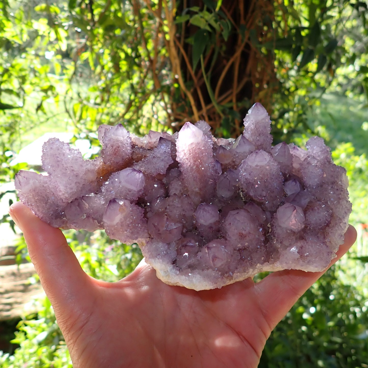 Amethyst Cactus Quartz Spirit Quartz cluster 160x120x60mm – full cluster front view in natural shade, true amethyst-purple colouration and flat matrix base visible, Boekenhouthoek South Africa | SKU OM00002