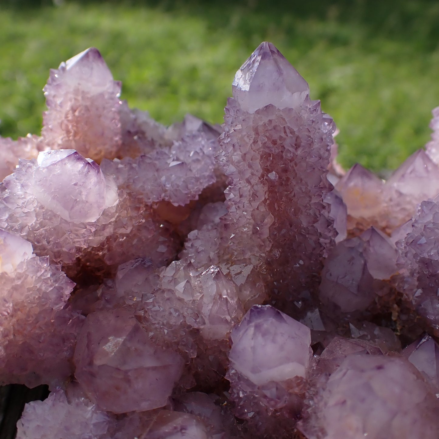 Amethyst Cactus Quartz Spirit Quartz cluster 160x120x60mm – close-up of drusy secondary terminations and dark-tipped crystal habit, Boekenhouthoek South Africa | SKU OM00002