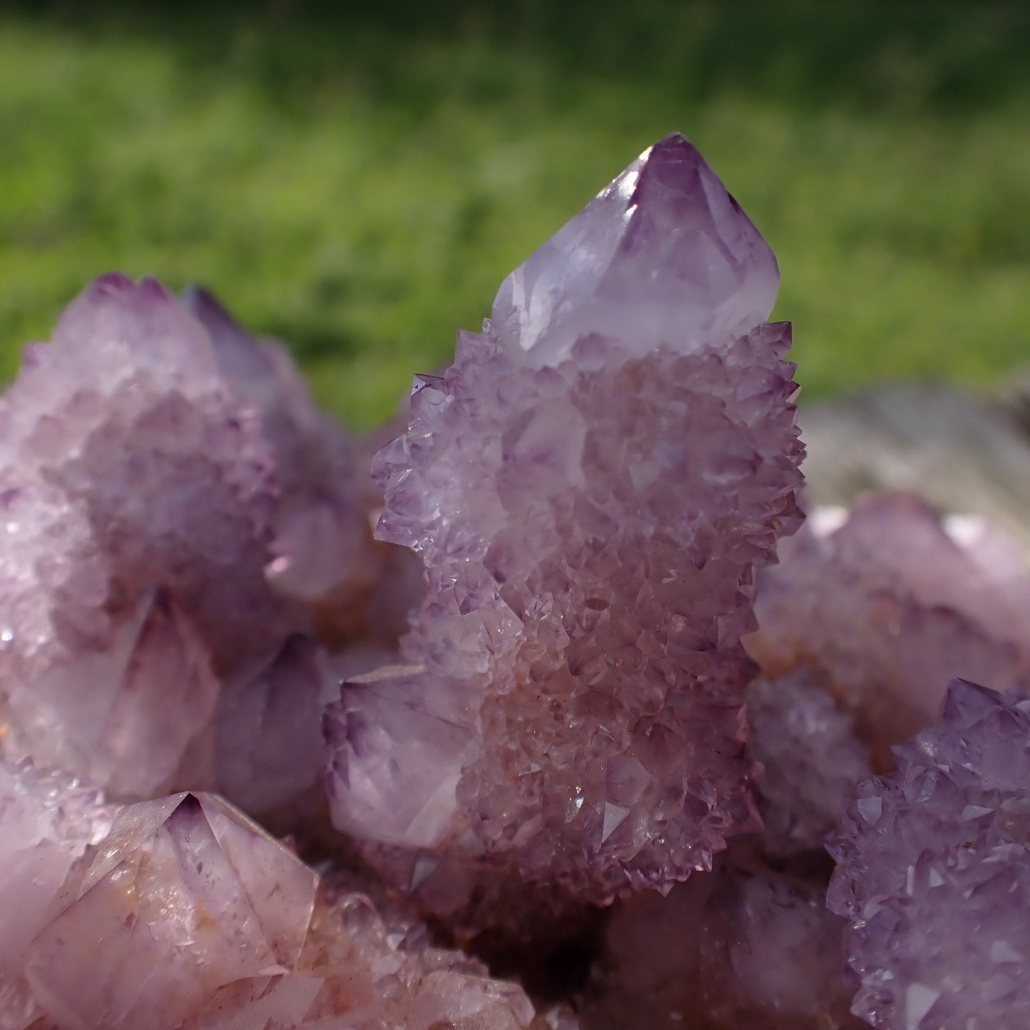 Amethyst Cactus Quartz Spirit Quartz cluster 160x120x60mm – close-up of tall central crystal with drusy habit and dark tip, Boekenhouthoek South Africa | SKU OM00002