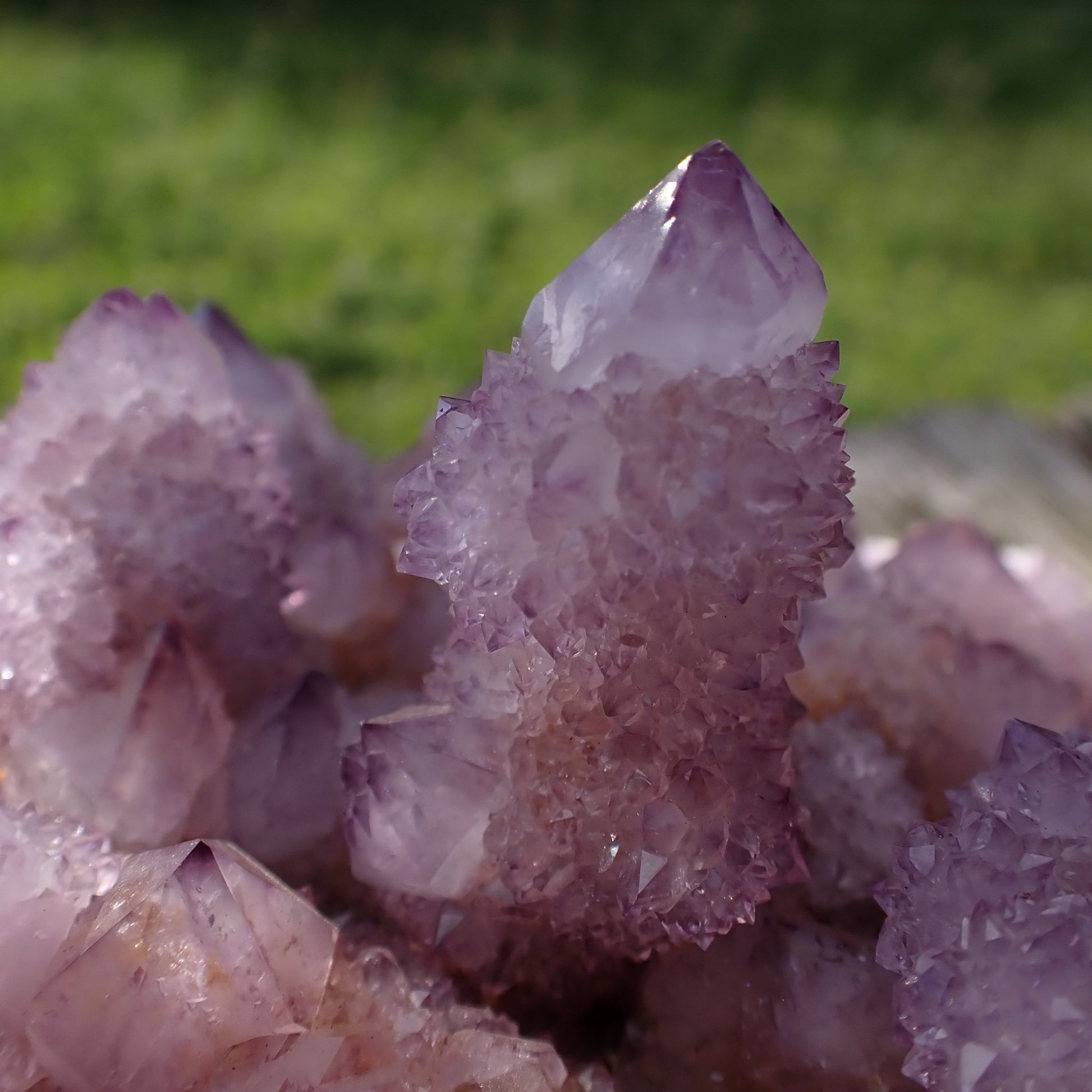 Amethyst Cactus Quartz Spirit Quartz cluster 160x120x60mm – close-up of tall central crystal with drusy habit and dark tip, Boekenhouthoek South Africa | SKU OM00002