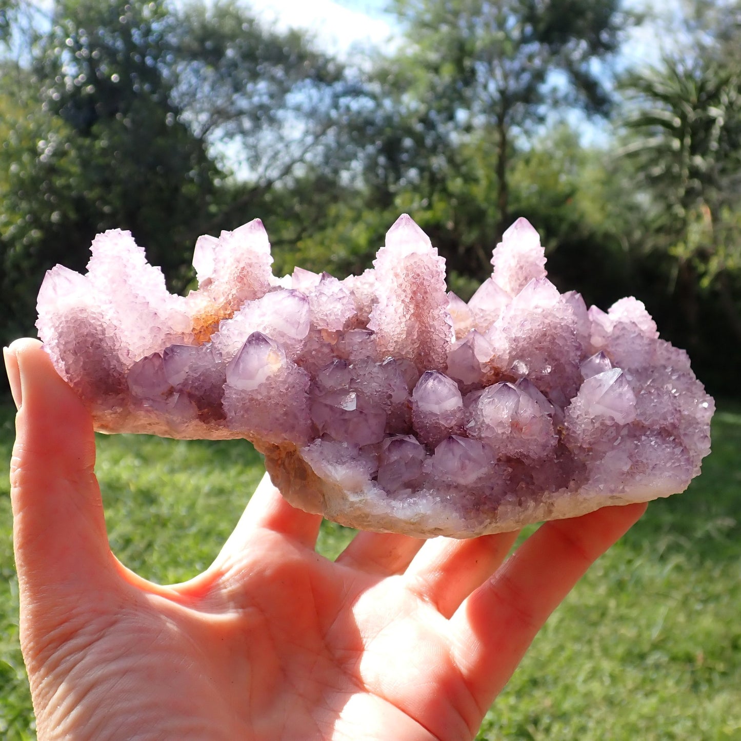 Amethyst Cactus Quartz Spirit Quartz cluster 160x120x60mm – full cluster front view in full sun, true amethyst-purple colouration and flat matrix base visible, Boekenhouthoek South Africa | SKU OM00002