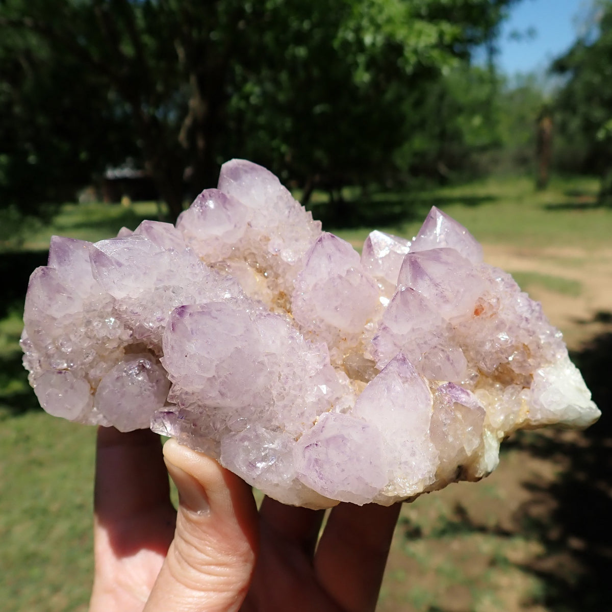 Cactus Spirit Quartz amethyst cluster end view showing lavender points and the natural base, held in hand