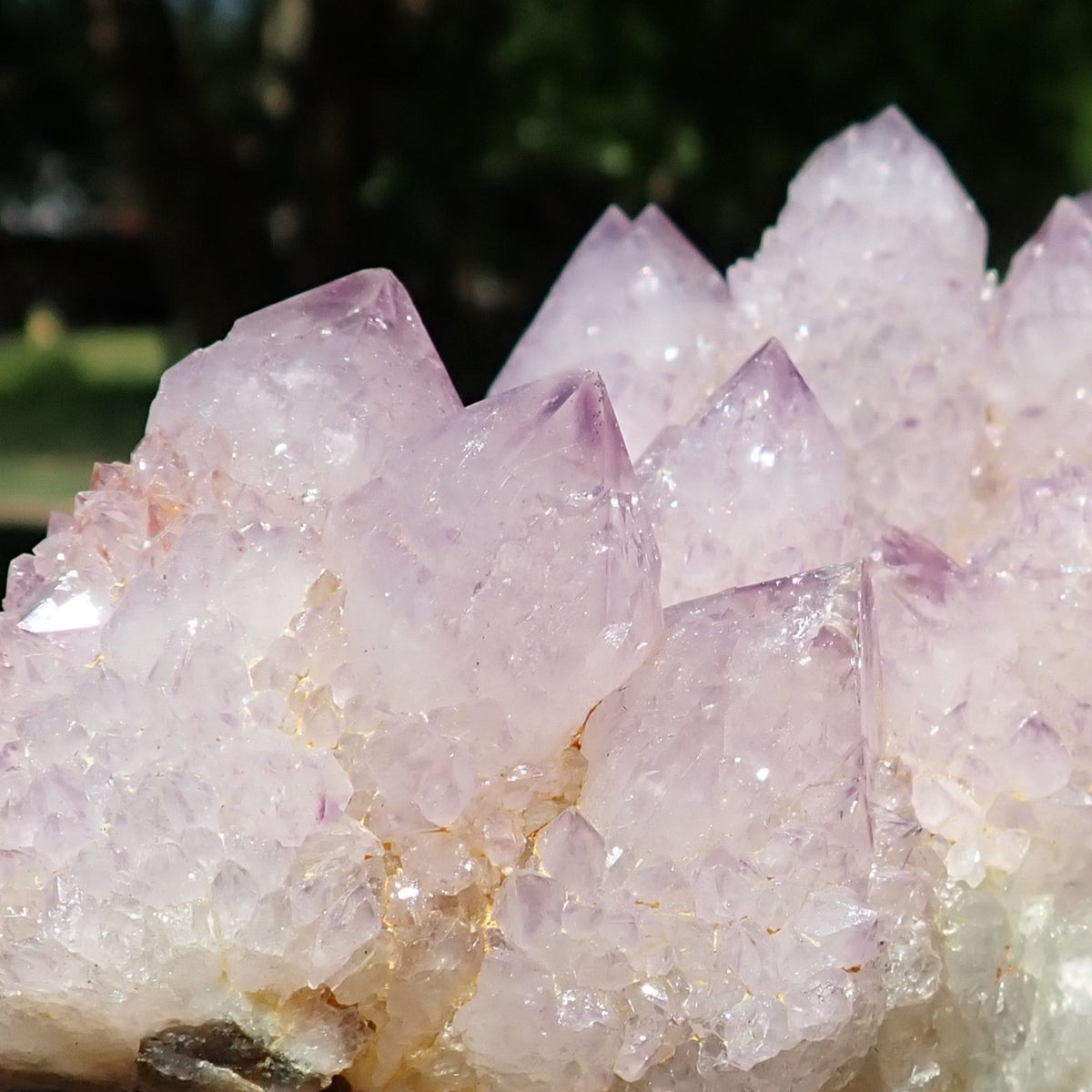 Cactus Spirit Quartz amethyst cluster showing pale lavender points, purple tips and white quartz at the base