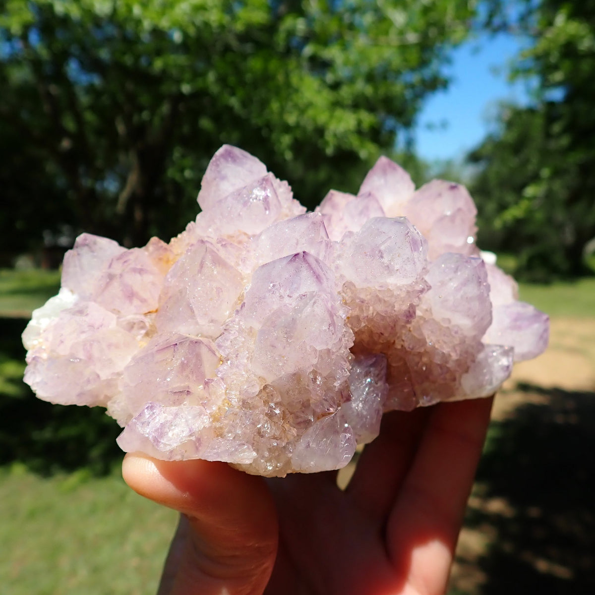 Cactus Spirit Quartz amethyst phantom cluster held in hand, showing lavender terminations and drusy overgrowths