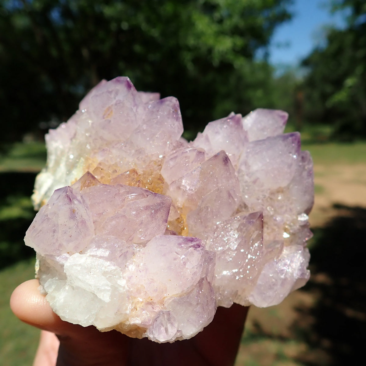 Cactus Spirit Quartz amethyst cluster side view showing lavender crystals above a white and brown natural base