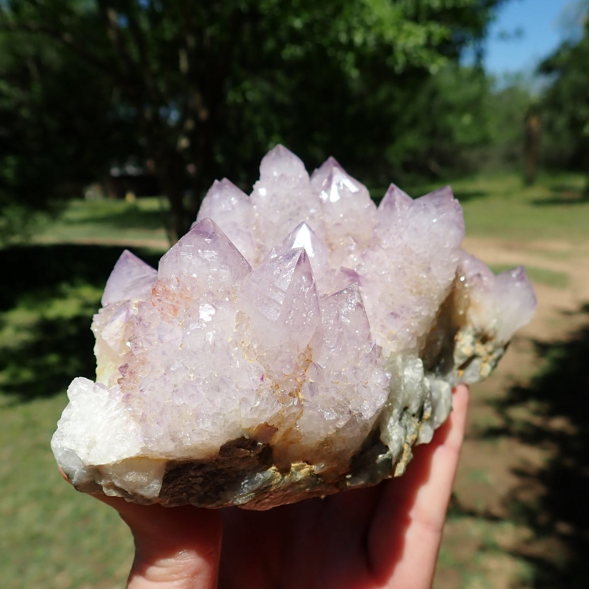Cactus Spirit Quartz close-up showing purple phantom outlines within pale amethyst points and drusy overgrowths