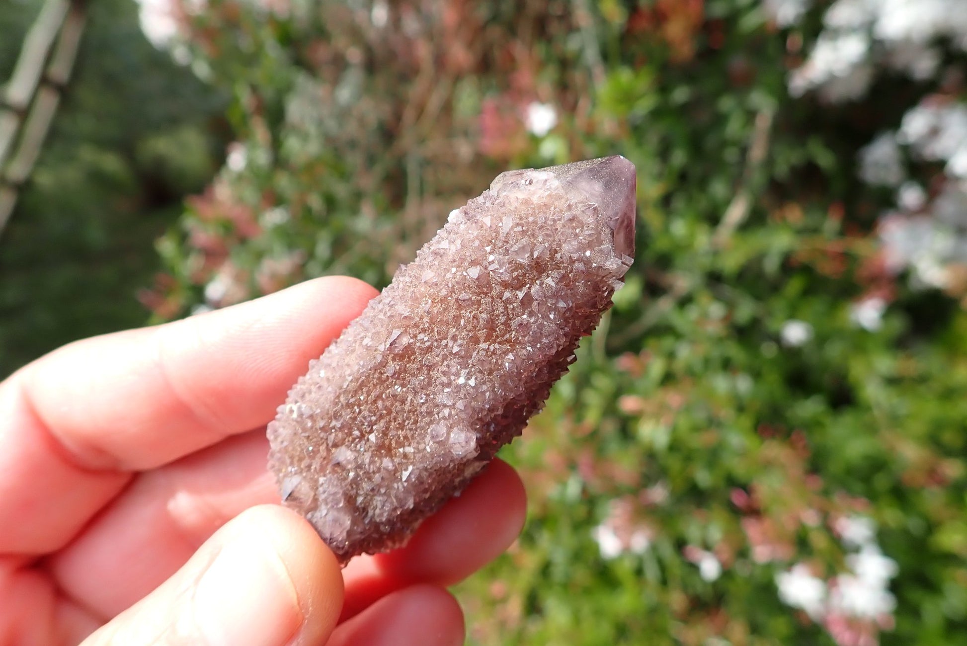 Amethyst cactus quartz Spirit Quartz point – in-hand, deep purple second-generation drusy encrustation, Boekenhouthoek Mpumalanga
