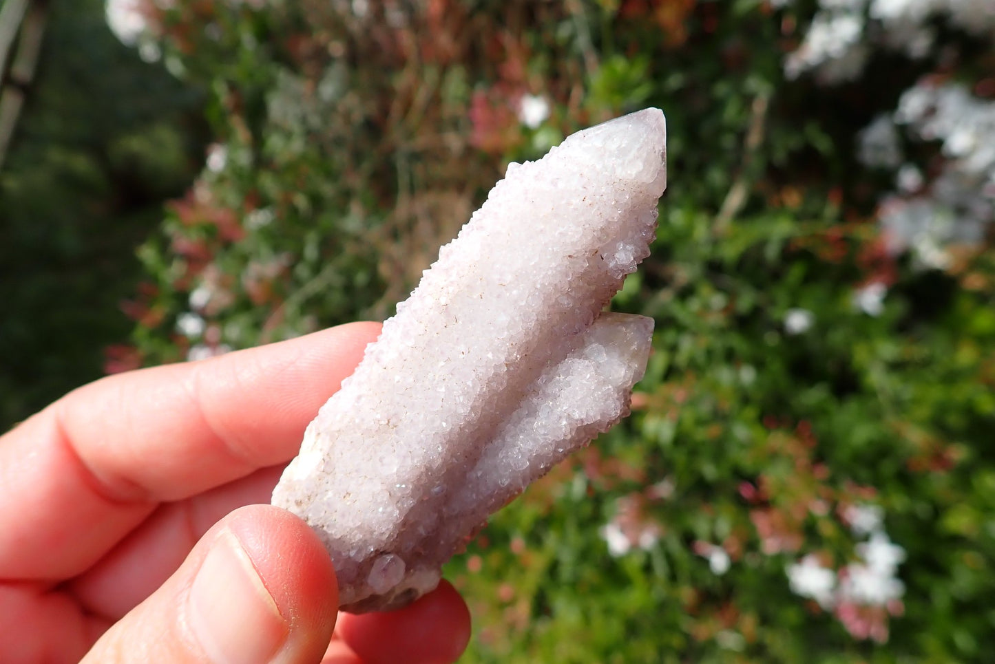 Cactus quartz Spirit Quartz double point – in-hand, twin formation with drusy encrustation, white/smoky, Boekenhouthoek