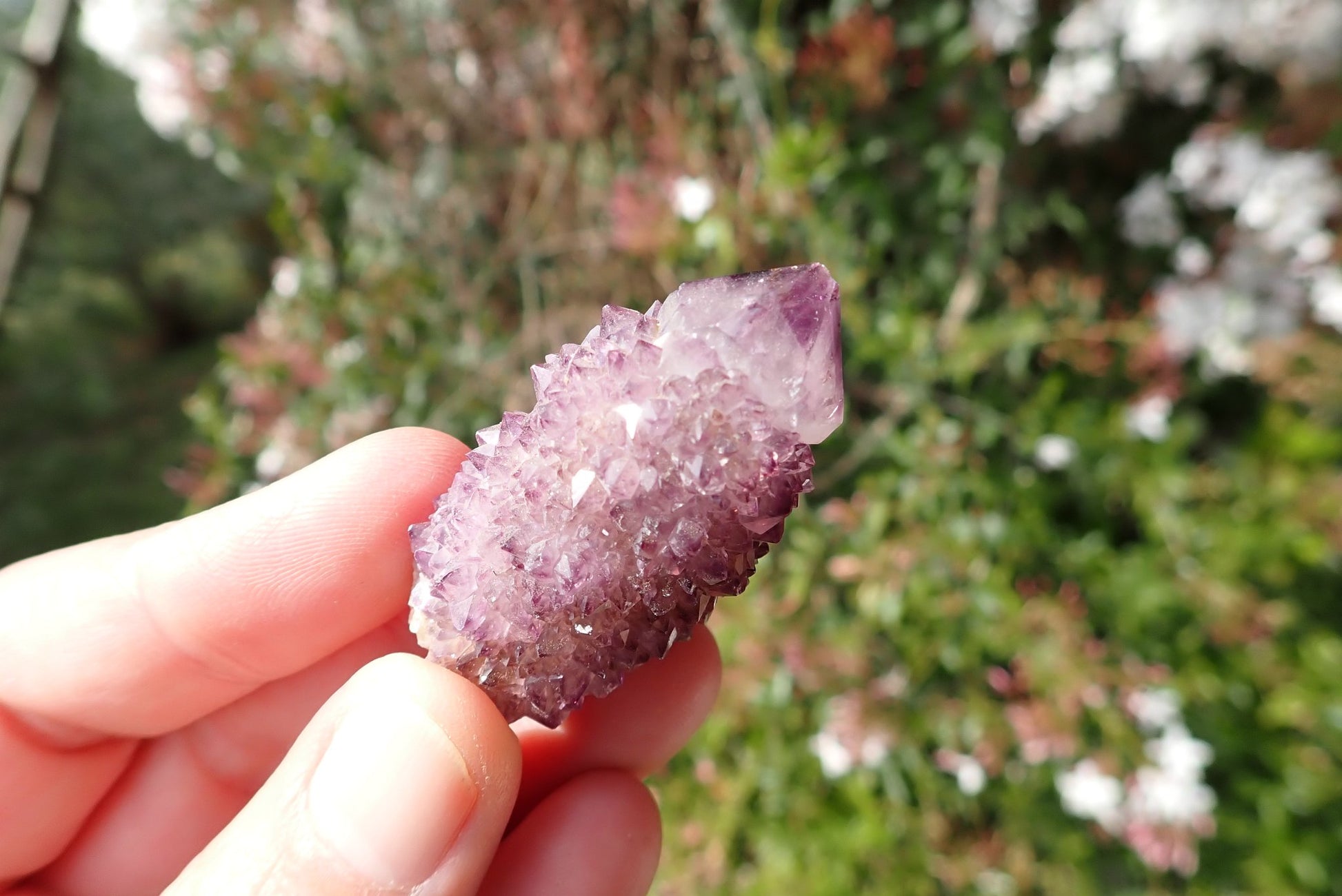 Cactus quartz Spirit Quartz point – in-hand, amethyst with dense drusy encrustation, Boekenhouthoek Mpumalanga