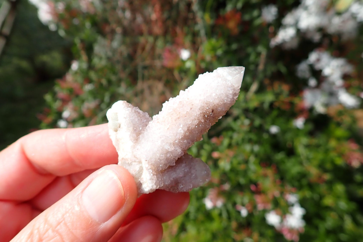 Cactus quartz Spirit Quartz point – in-hand, white/pale lilac with secondary crystal growth on prism faces