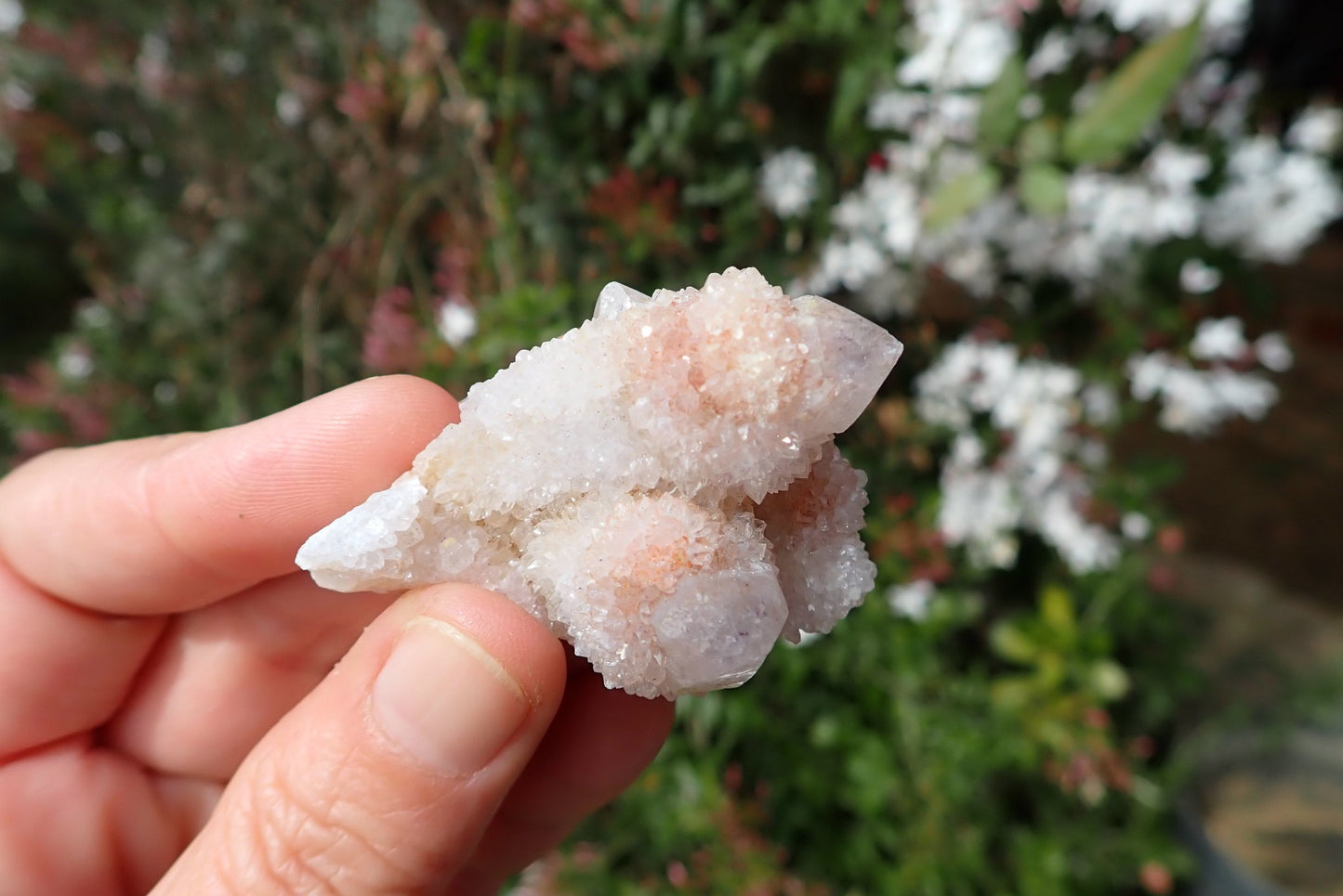 Cactus quartz Spirit Quartz small cluster – white with soft pink toning, multi-point cluster, heavy second-generation crystal coverage