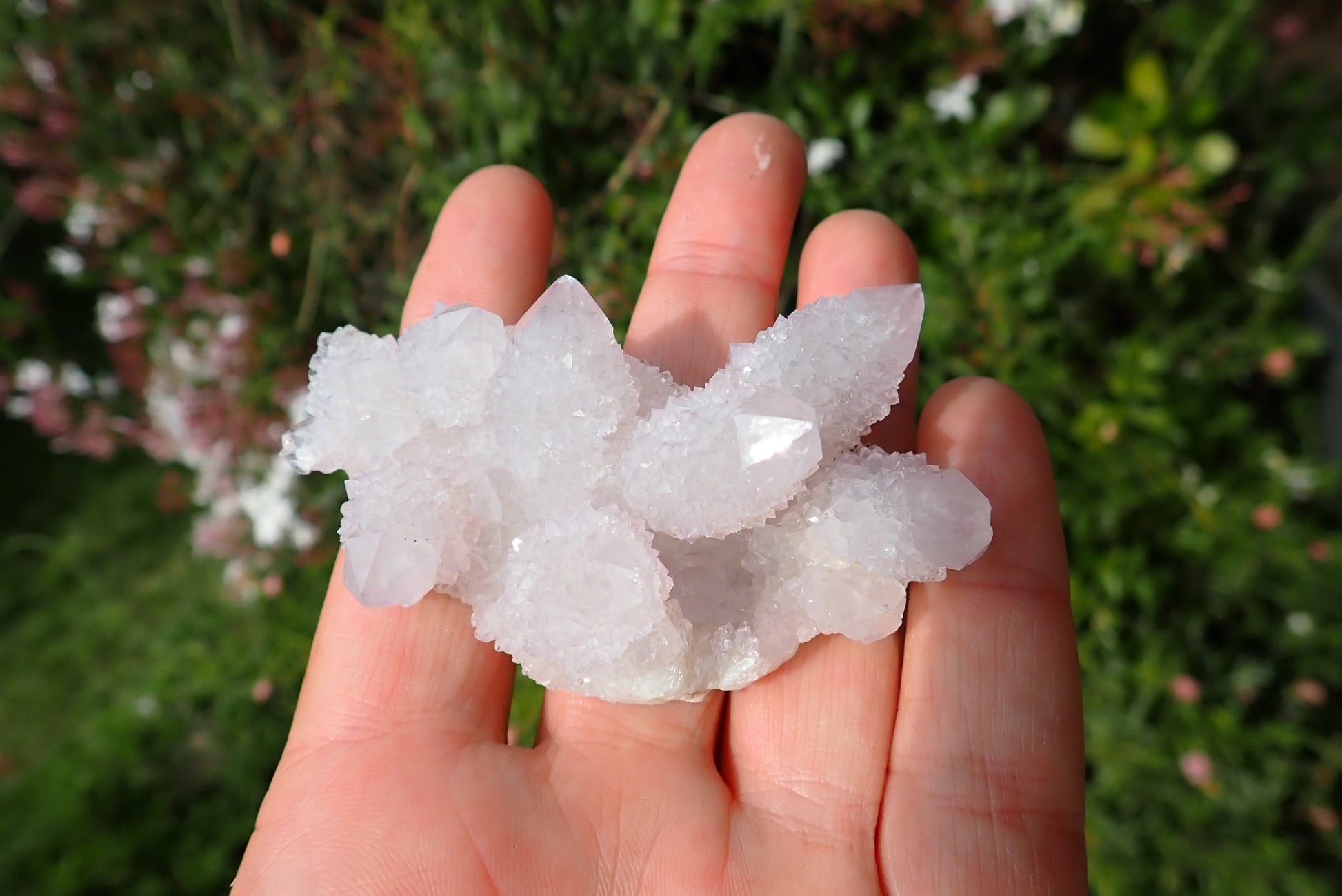 Cactus quartz Spirit Quartz small cluster – white multi-point formation in hand, dense drusy encrustation on all faces, Boekenhouthoek