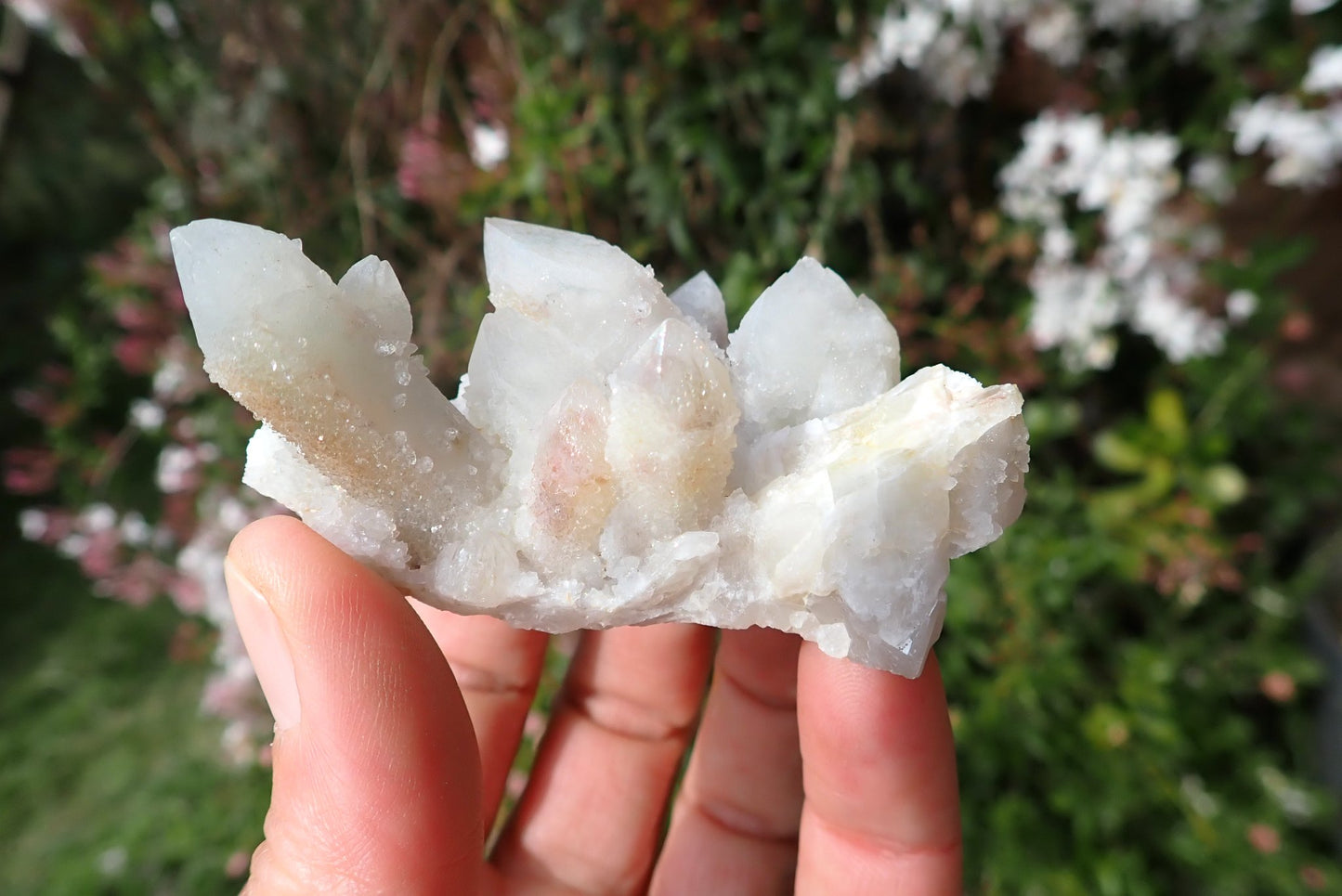 Cactus quartz Spirit Quartz small cluster – white with prominent upward terminations, full second-generation drusy coverage, Boekenhouthoek