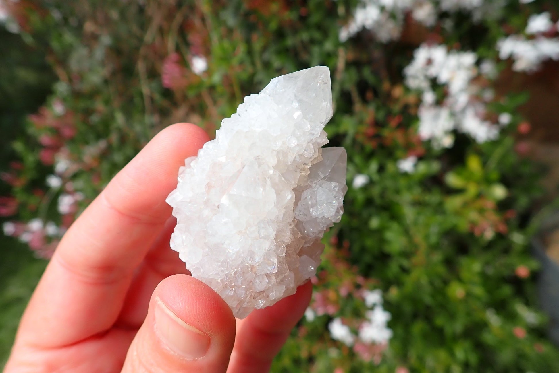 Cactus quartz Spirit Quartz point cluster – white/clear, single dominant termination with drusy encrustation, Boekenhouthoek Mpumalanga