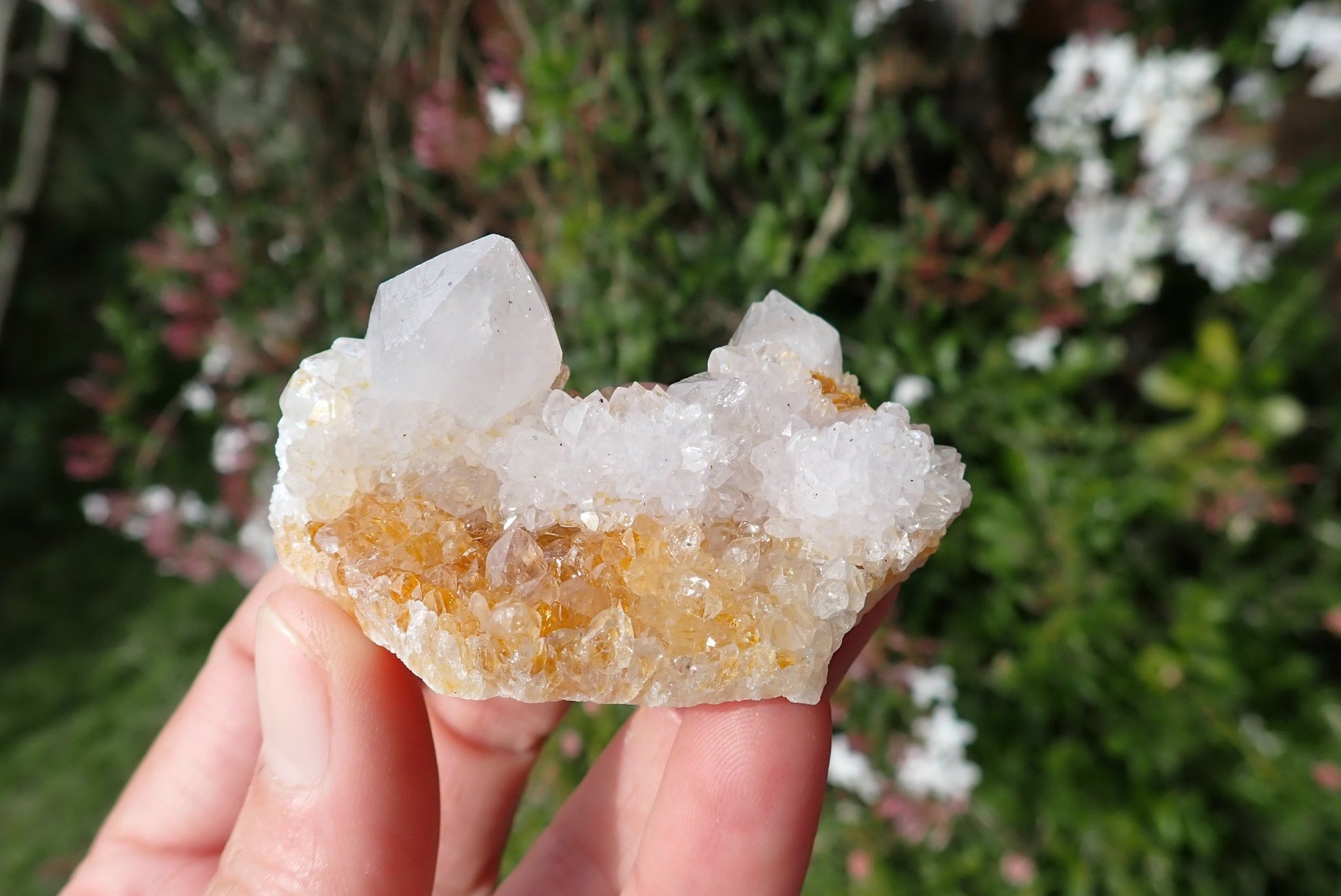 Cactus quartz Spirit Quartz small cluster – white drusy points on natural matrix base, Boekenhouthoek Mpumalanga