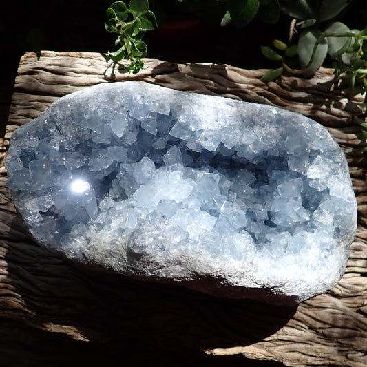 Celestite geode from Madagascar, full view of pale blue crystals lining an elongated open cavity in grey-beige matrix.