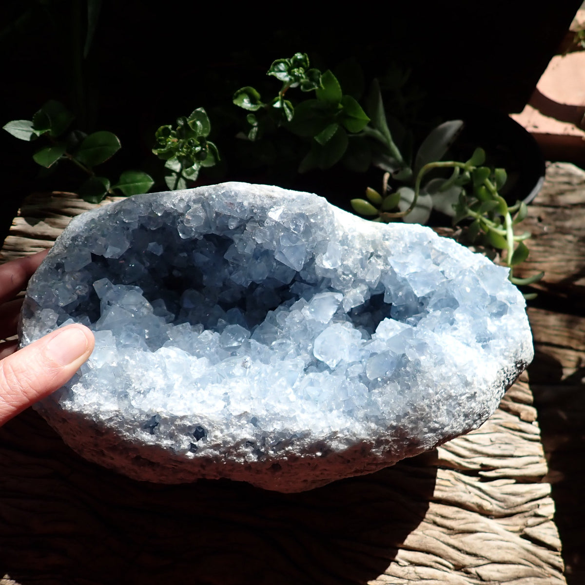 Celestite geode from Madagascar with a hand for scale, showing pale blue crystals across the open cavity.
