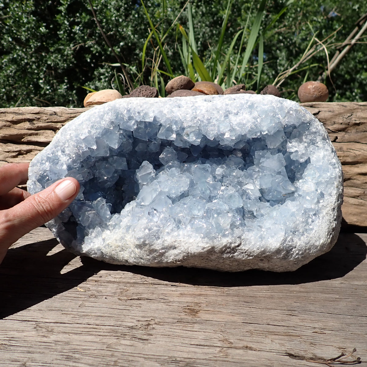 Celestite geode from Madagascar, front view with a hand for scale beside the pale blue crystal-lined opening.