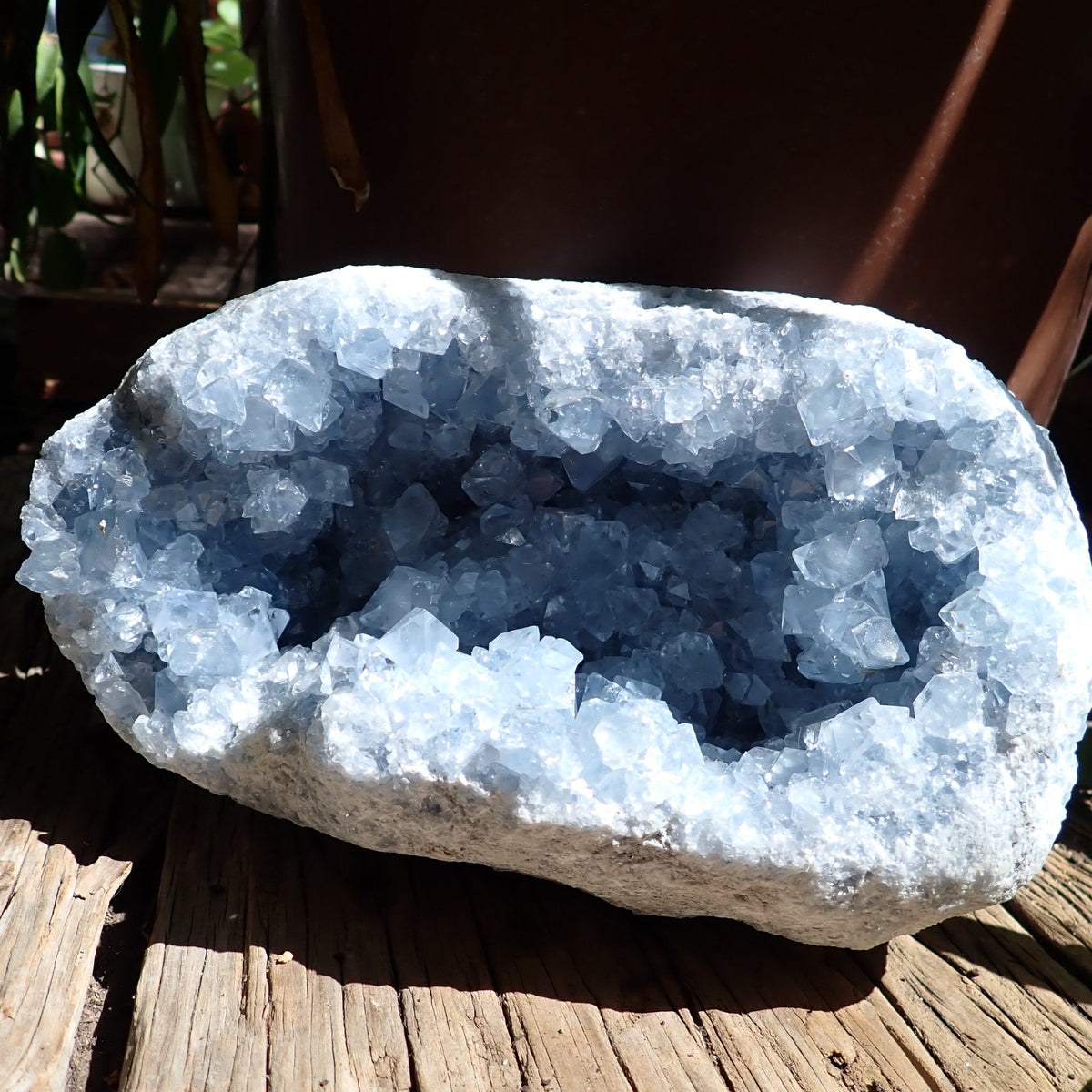 Celestite geode from Madagascar, low front view showing crystals around the rim and within the deep blue-grey cavity.