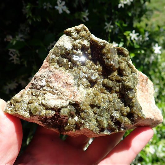 Demantoid garnet on matrix from Madagascar, with olive-green crystal clusters and reflective faces on pinkish-tan rock.