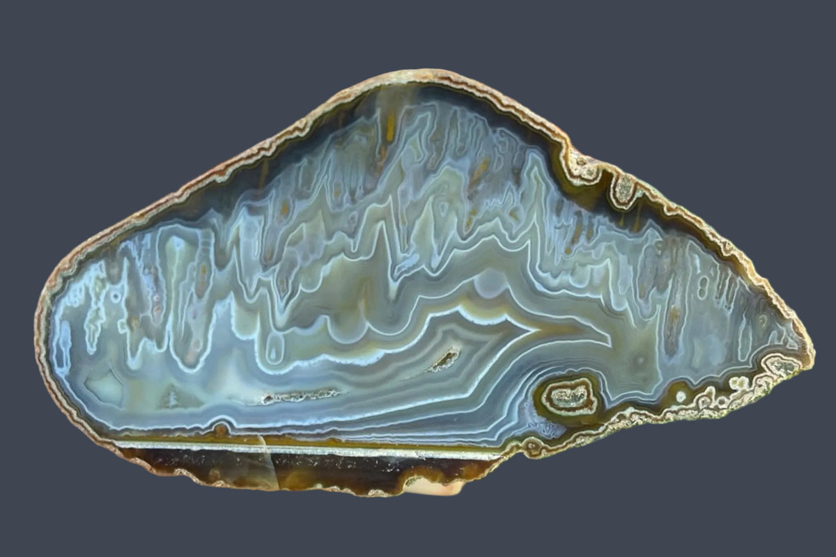 Ghost Mountain agate 106 mm – polished half nodule face with exceptionally convoluted scalloped banding in blue-grey chalcedony and fine ochre-yellow stalactitic inclusions, Ghost Mountain, South Africa.