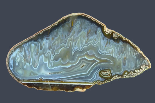 Ghost Mountain agate 106 mm – polished half nodule face with exceptionally convoluted scalloped banding in blue-grey chalcedony and fine ochre-yellow stalactitic inclusions, Ghost Mountain, South Africa.