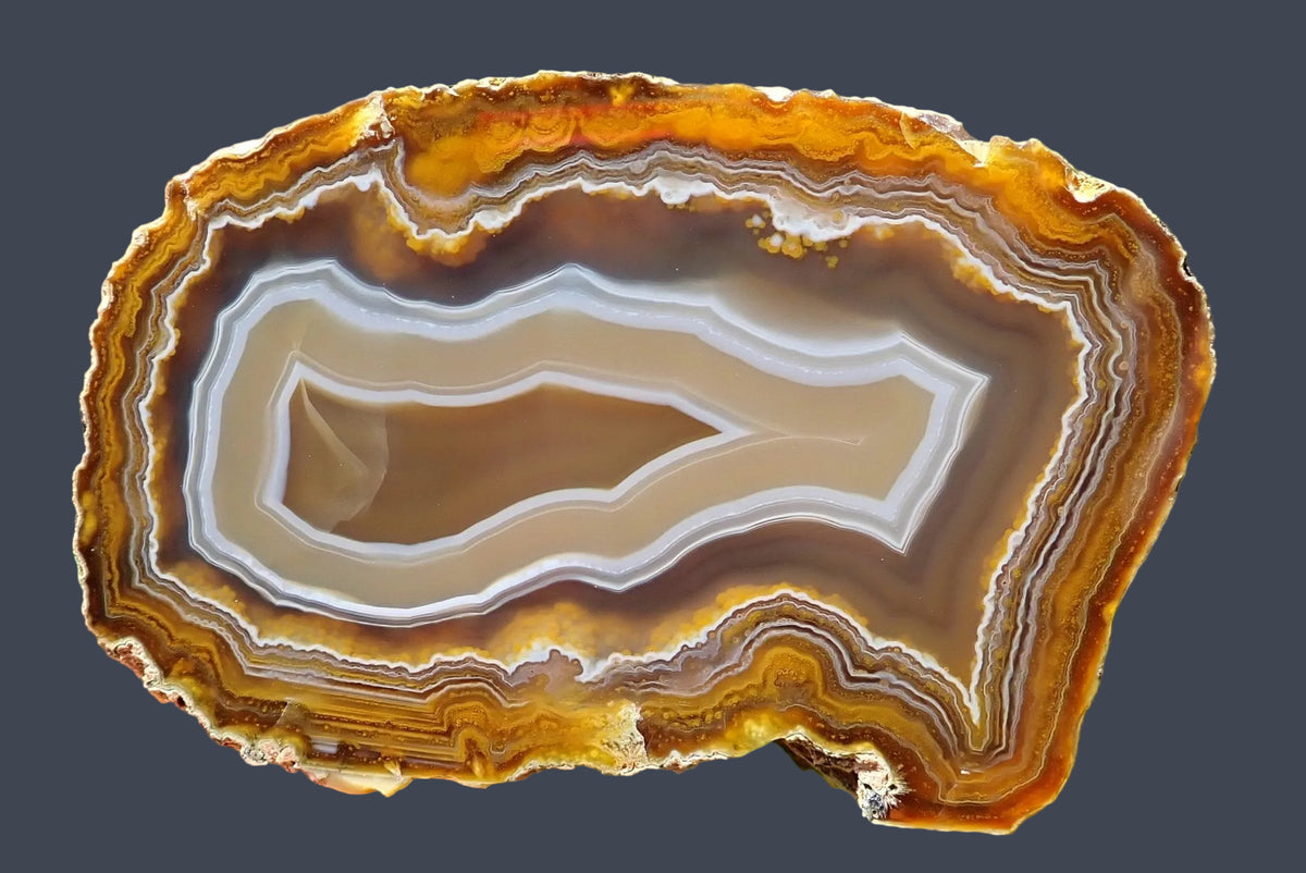 Ghost Mountain agate 72 mm, full face showing white and blue-grey fortification banding around a brown centre, with fine brown and golden-yellow outer bands, South Africa.