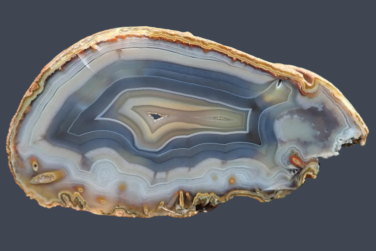 Ghost Mountain agate 122 mm – face view, smooth concentric banding, flow channels and chromatography, blue-grey and honey tones, South Africa