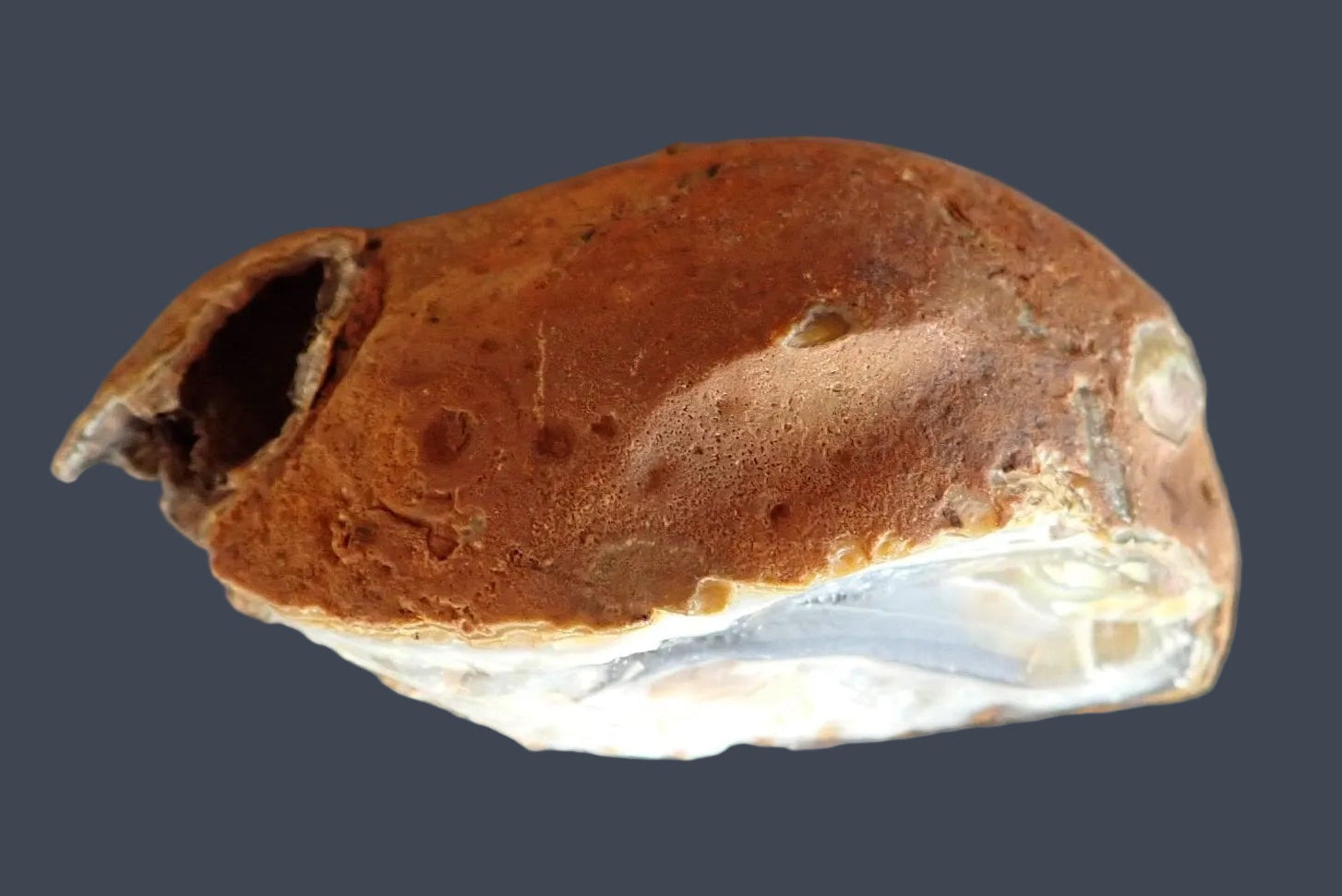 Ghost Mountain agate 122 mm – back view, natural rind, ochre and amber exterior, South Africa