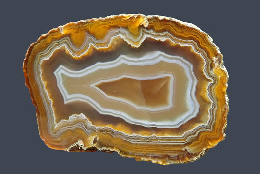 Ghost Mountain agate 71 mm, full face showing white and blue-grey fortification banding around a pointed brown centre, with broad beige bands and fine golden-yellow outer layers, South Africa.