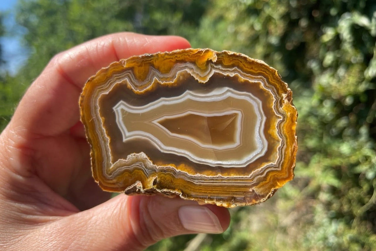 Ghost Mountain agate 71 mm, in-hand view for scale, South Africa.