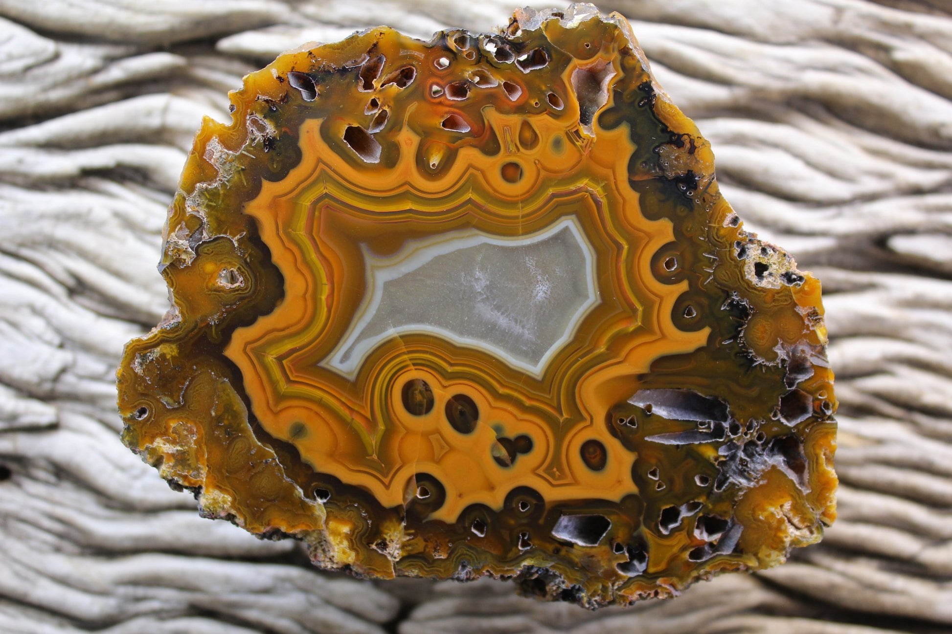 Lilangabi agate 103 mm – front face, eyes, fortification banding and chromatism, scalloped banding and perimorphs, Eswatini | SKU LIL00003