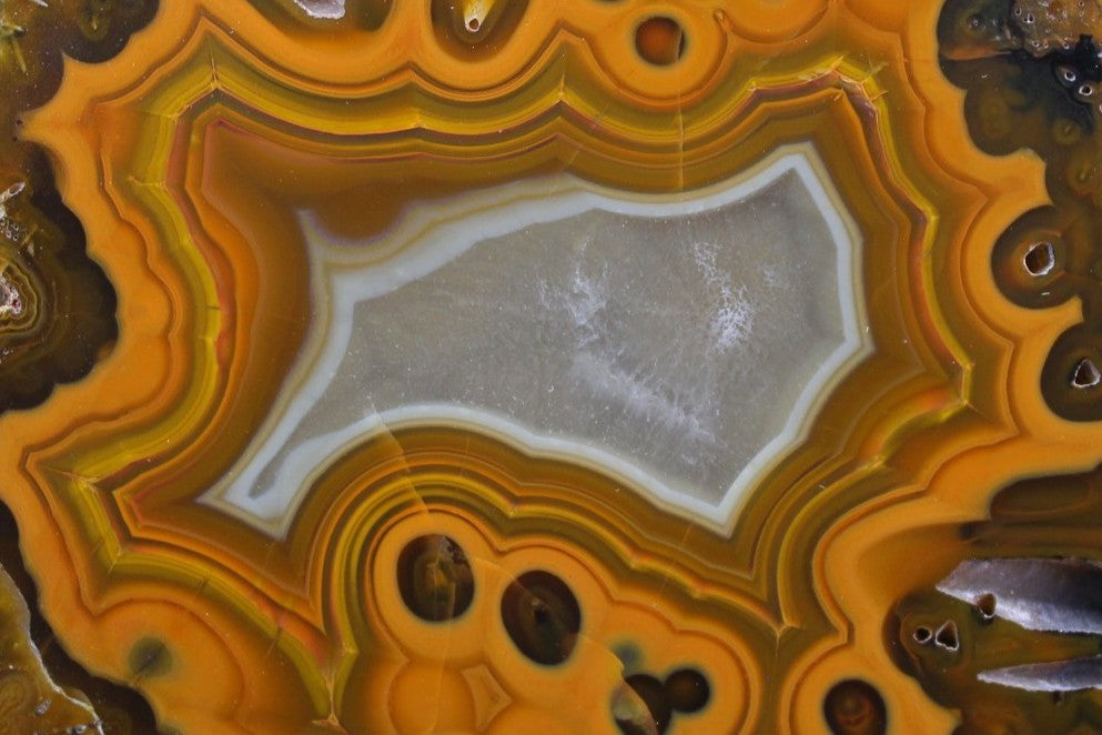 Lilangabi agate 103 mm – close-up of eyes and scalloped fortification banding, vivid tangerine-to-ochre chromatism | SKU LIL00003