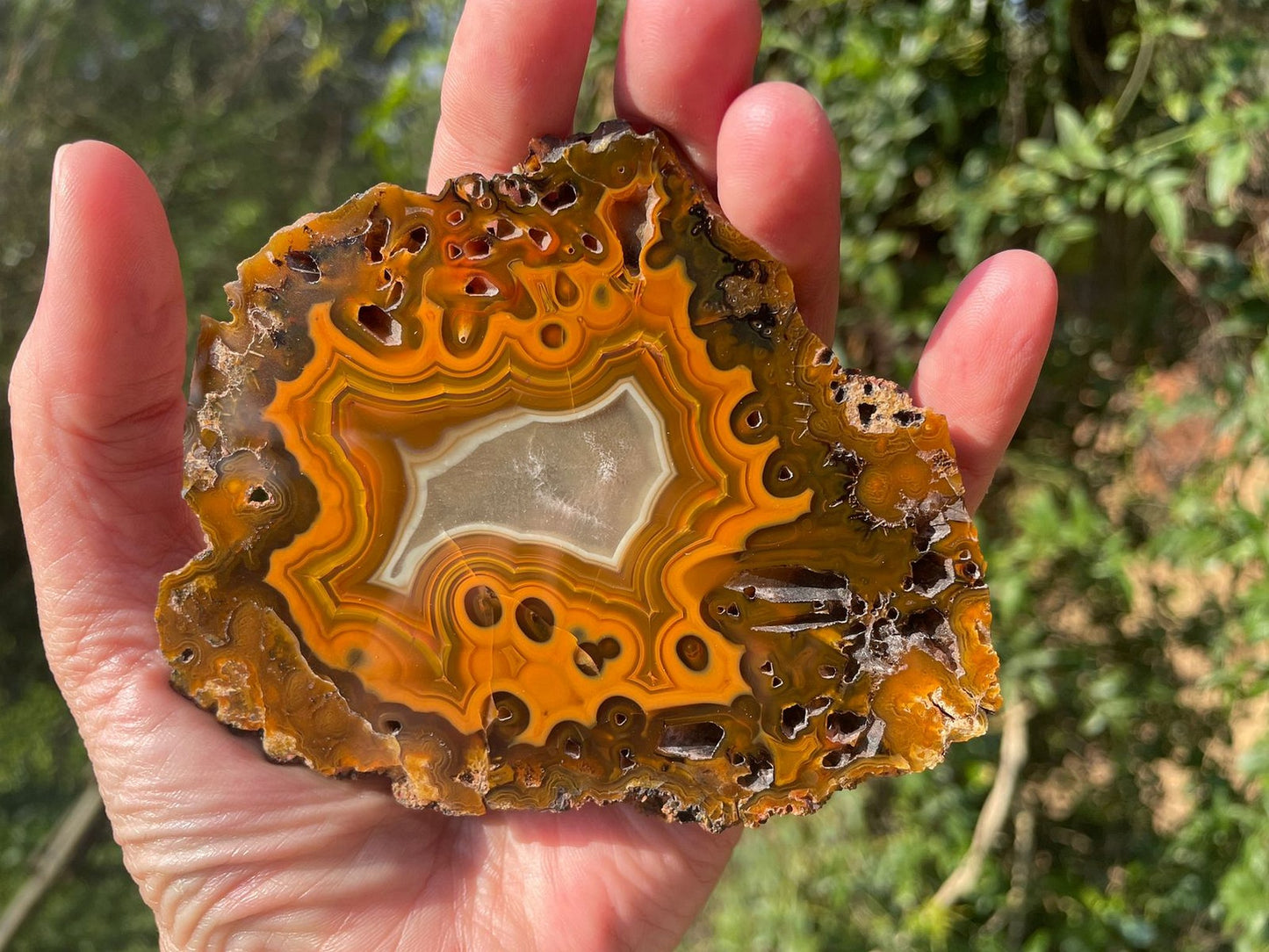 Lilangabi agate 103 mm – in-hand size reference, eyes and fortification banding visible, Eswatini | SKU LIL00003