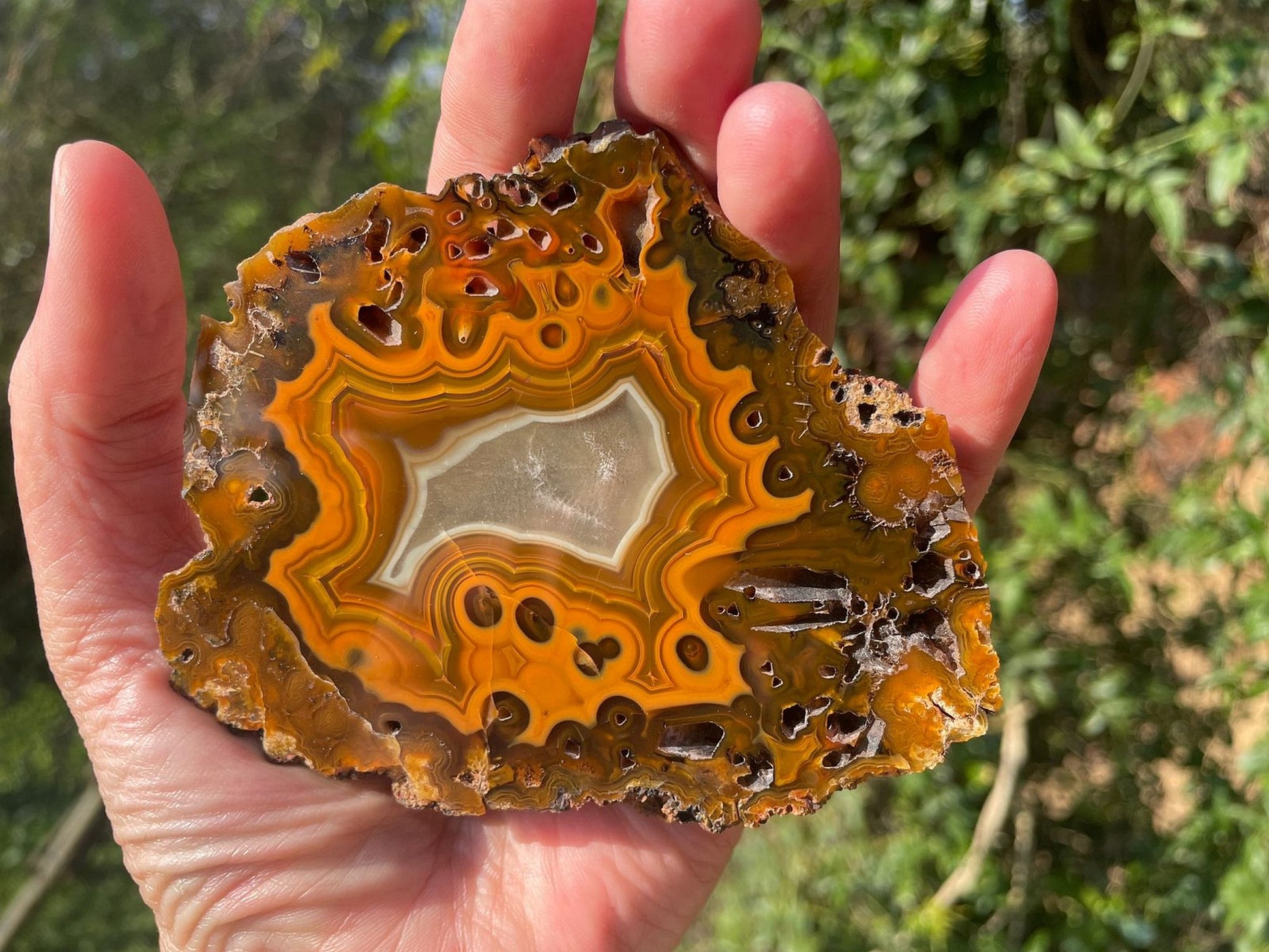 Lilangabi agate 103 mm – in-hand size reference, eyes and fortification banding visible, Eswatini | SKU LIL00003