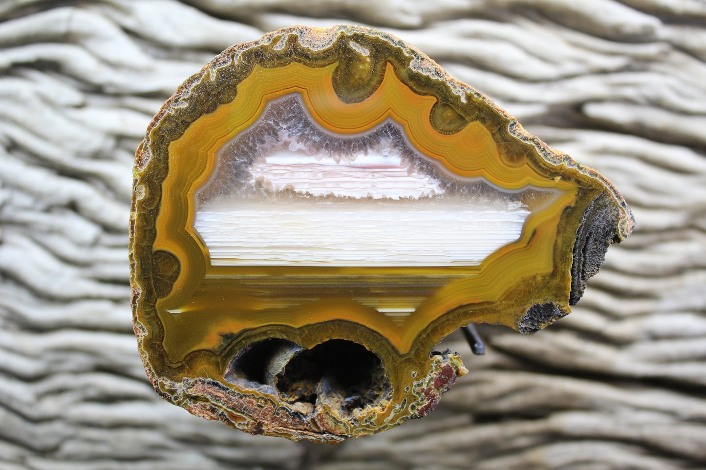 Lilangabi agate 87 mm – front face, fortification banding, waterline features and perimorphs, Eswatini | SKU LIL00004